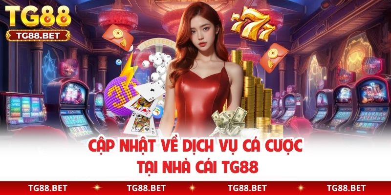 Cập nhật về dịch vụ cá cược tại nhà cái TG88