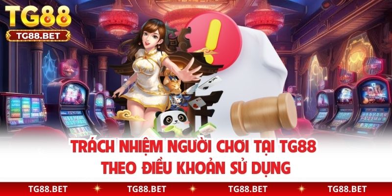 Trách nhiệm người chơi tại TG88 theo điều khoản sử dụng